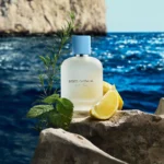 by Dolce & Gabbana Light Blue Pour Homme - imagine 2